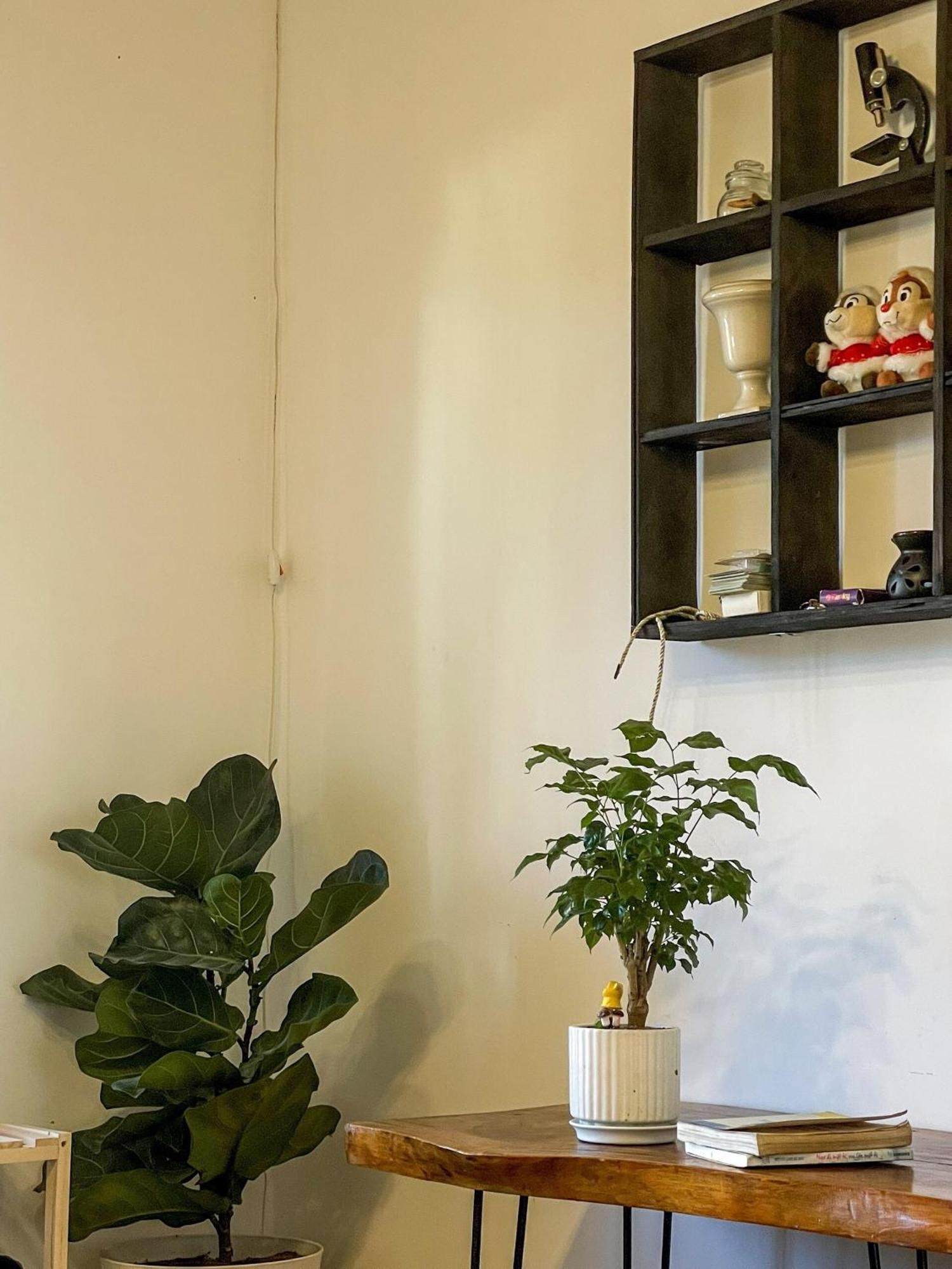Hat De Homestay 달랏 외부 사진