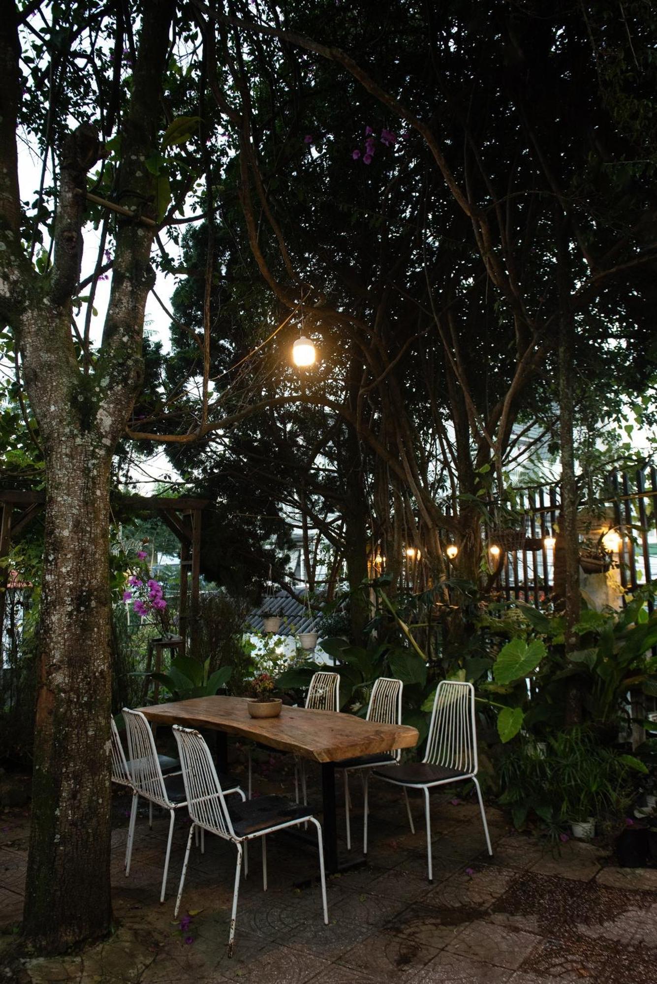Hat De Homestay 달랏 외부 사진