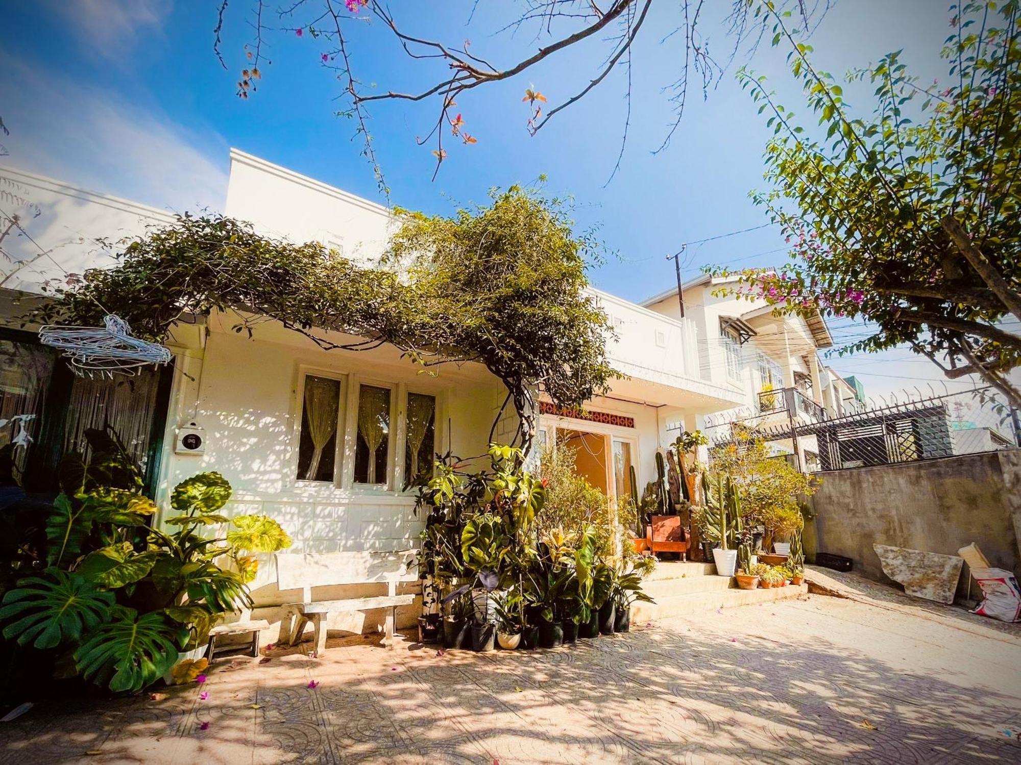 Hat De Homestay 달랏 외부 사진