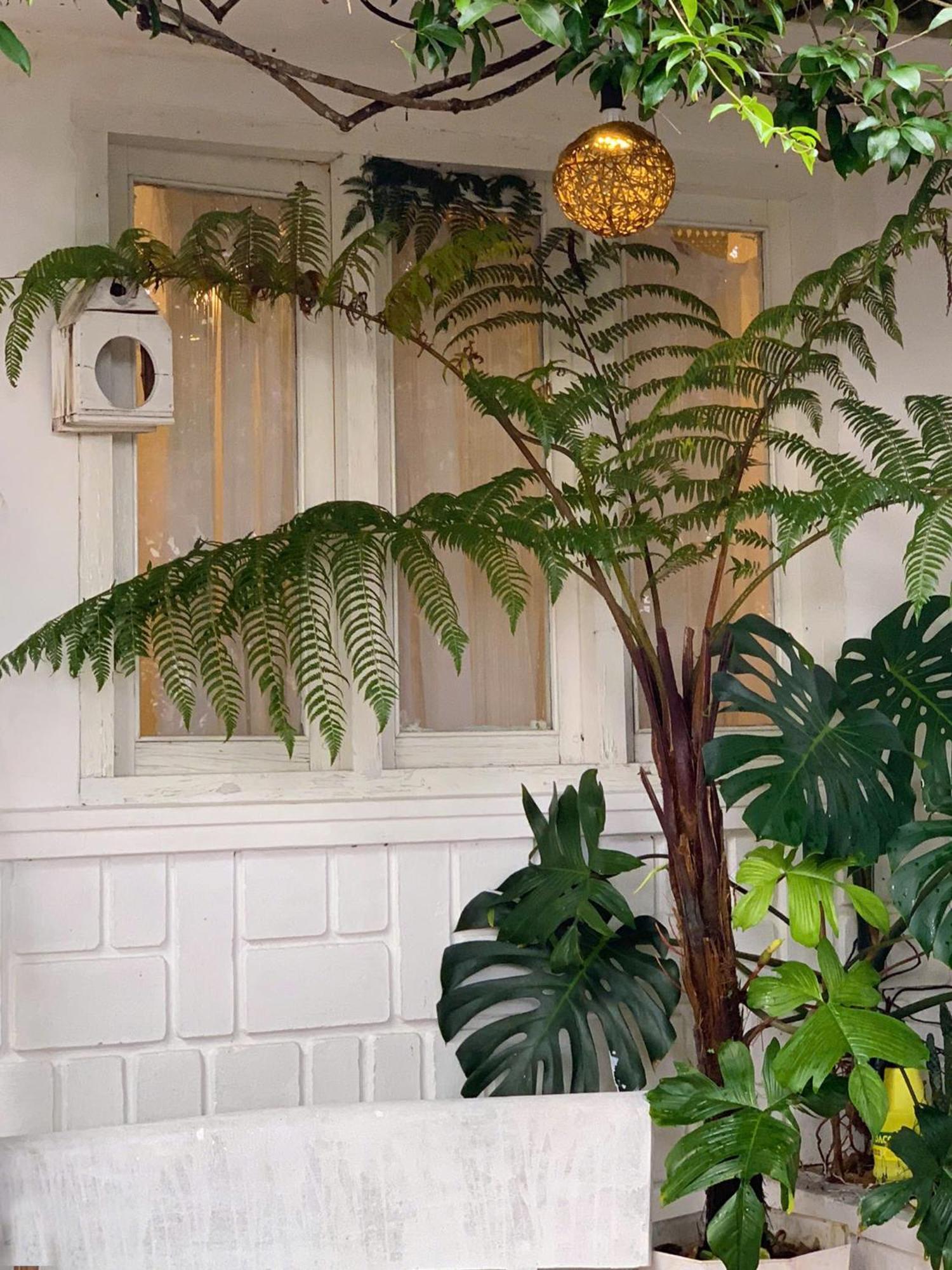 Hat De Homestay 달랏 외부 사진