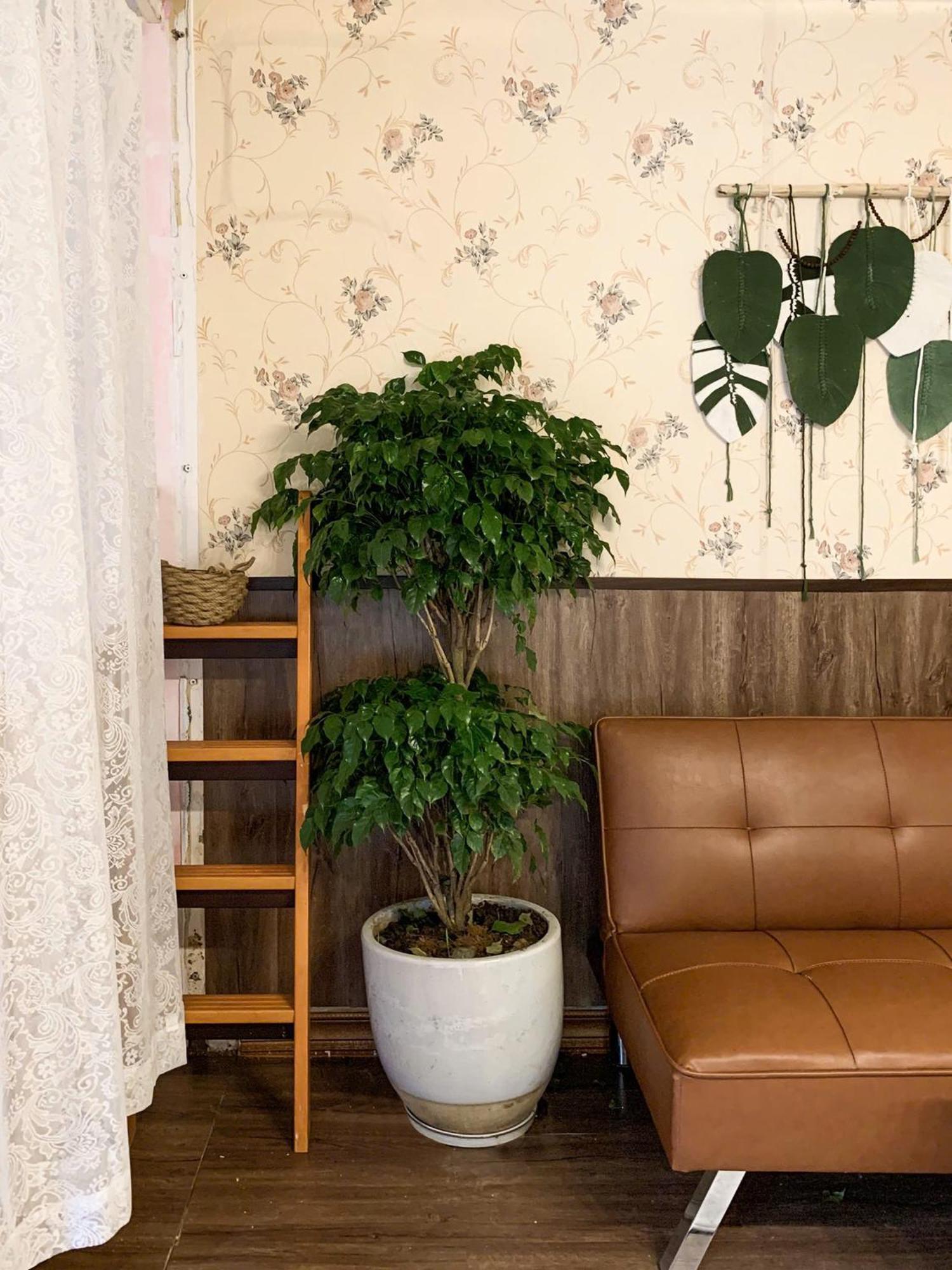 Hat De Homestay 달랏 외부 사진